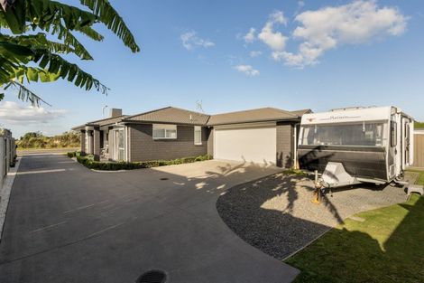 Photo of property in 124 Te Ranga Memorial Drive, Pyes Pa, Tauranga, 3112