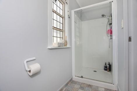 Photo of property in 113 College Street, Awapuni, Palmerston North, 4412