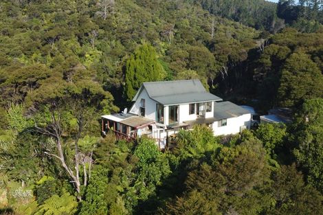 Photo of property in 800 Buffalo Road, Coromandel, 3506