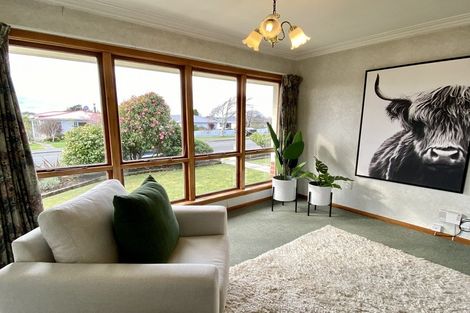 Photo of property in 179 Lamond Street, Hargest, Invercargill, 9810