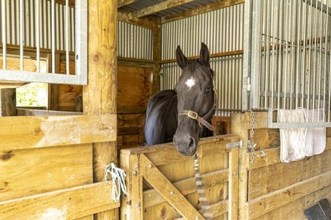 Photo of property in 263 Whitehills Road, Waitoki, Silverdale, 0994