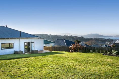 Photo of property in 41 Ryehill Street, Calton Hill, Dunedin, 9012