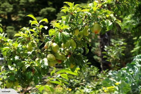 Photo of property in 51 Valley Road, Manunui, Taumarunui, 3924