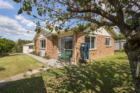 Photo of property in 17 Adams Street, Waihi, 3610