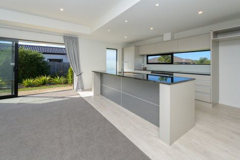 Photo of property in 15 Travers Avenue, Richmond, 7020