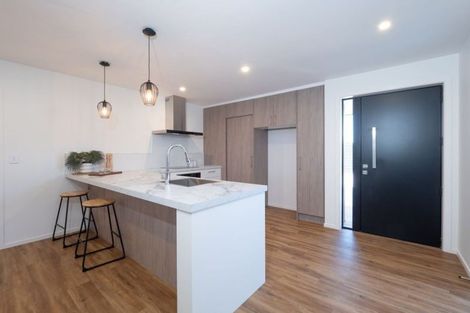 Photo of property in 163a William Street, Netherby, Ashburton, 7700