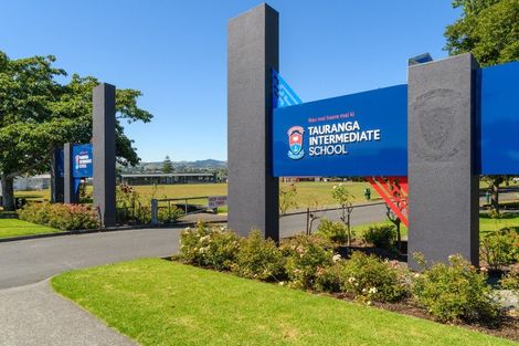 Photo of property in 175 Grace Road, Tauranga South, Tauranga, 3112