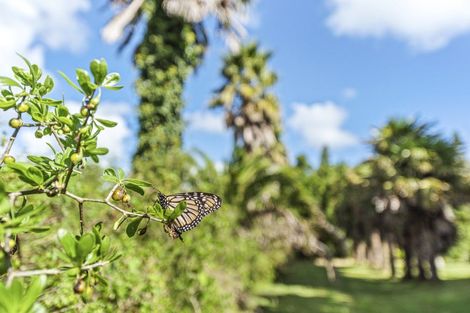 Photo of property in 6388a South Road, Pungarehu, 4685