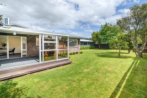 Photo of property in 115 Winchester Street, Ashhurst, 4810