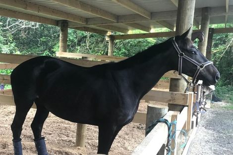 Photo of property in 19 Valley Road, Waitoki, Kaukapakapa, 0871