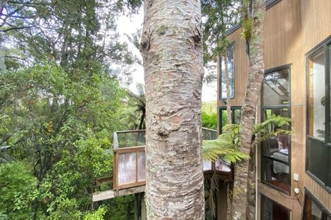 Photo of property in 31 York Road, Titirangi, Auckland, 0604