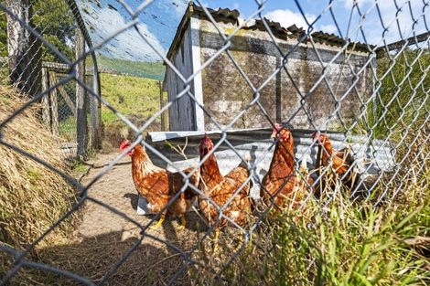 Photo of property in 186 Uruti Road, Uruti, Urenui, 4378