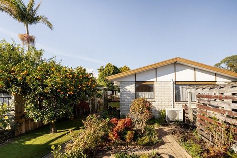 Photo of property in 10a Tutauanui Crescent, Maungatapu, Tauranga, 3112