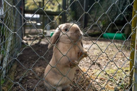 Photo of property in 18 Akatarawa Road, Brown Owl, Upper Hutt, 5018