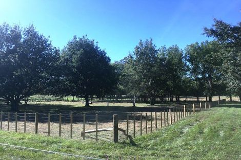 Photo of property in 202 Tapairu Road, Waipawa, 4275