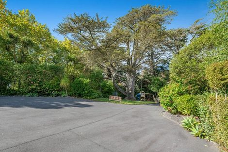 Photo of property in 12 Hobbs Road, Matakatia, Whangaparaoa, 0930