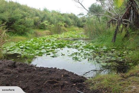 Photo of property in 355 Kimberley Road, Houhora, Pukenui, 0484