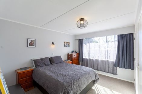 Photo of property in 1029b Konini Street, Mahora, Hastings, 4120