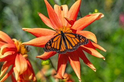 Photo of property in 1296a Akatarawa Road, Akatarawa, Upper Hutt, 5372