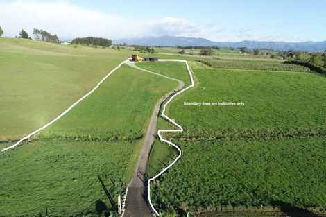 Photo of property in 42 Horton Road, Tasman, Upper Moutere, 7173