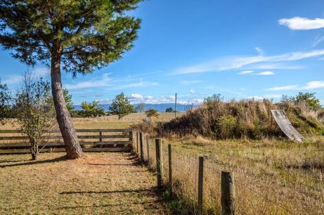 Photo of property in 144 Dublin Street, Martinborough, 5711