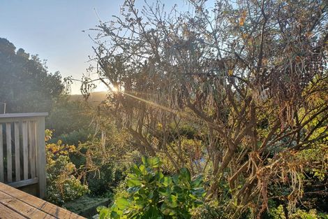 Photo of property in 44 Volga Street, Island Bay, Wellington, 6023