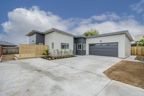 Photo of property in 52a Mako Mako Road, Levin, 5510