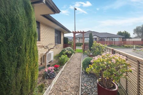 Photo of property in 55 Malta Crescent, Katikati, 3129