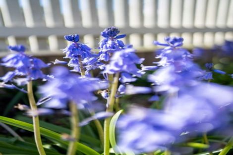 Photo of property in 26a Weld Street, Cambridge, 3434