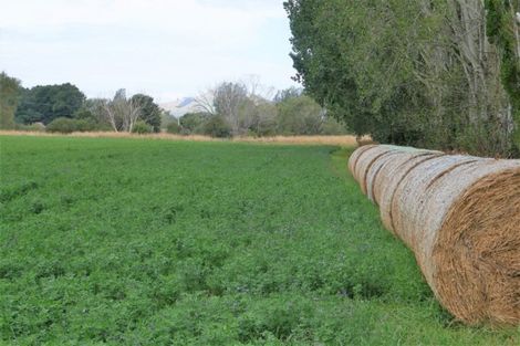 Photo of property in 460 Palmerston-dunback Road, Glenpark, Palmerston, 9483