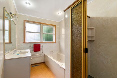 Photo of property in 80 Pretoria Street, Hutt Central, Lower Hutt, 5010