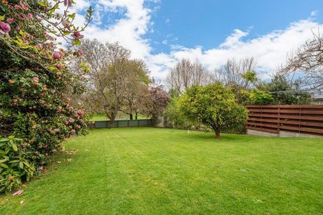 Photo of property in 21 Hatton Street, West End, Timaru, 7910