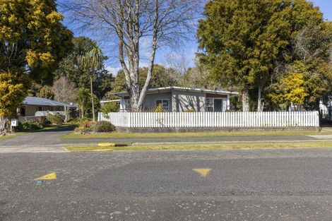 Photo of property in 9 Tawa Street, Inglewood, 4330