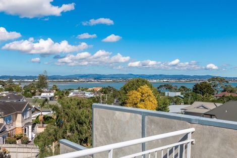Photo of property in 7a Raymond Street, Point Chevalier, Auckland, 1022