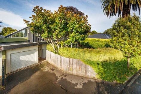 Photo of property in 105b Manawatu Street, Hokowhitu, Palmerston North, 4410