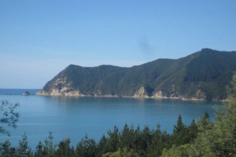 Photo of property in 502 Waipiro Road, Waipiro, Tokomaru Bay, 4079