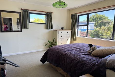 Photo of property in 87 Stortford Street, Ashhurst, 4810