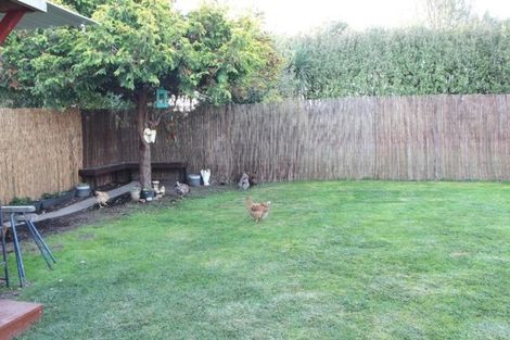 Photo of property in 19 Hassall Street, Parkside, Timaru, 7910