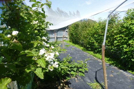 Photo of property in 7 Opuha Street East, Orari, Geraldine, 7992