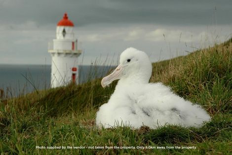 Photo of property in 346 Harington Point Road, Lower Portobello, Dunedin, 9077