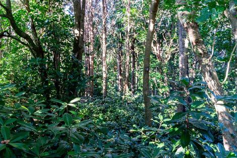 Photo of property in 47 Andrae Lane, Maungaturoto, 0587