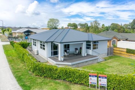 Photo of property in 99 Dixon Road, Glenview, Hamilton, 3206