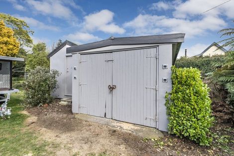 Photo of property in 28 Taumutu Road, Southbridge, 7602