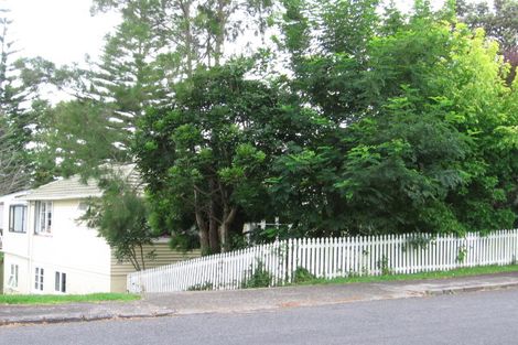 Photo of property in 45 Boyce Avenue, Mount Roskill, Auckland, 1041