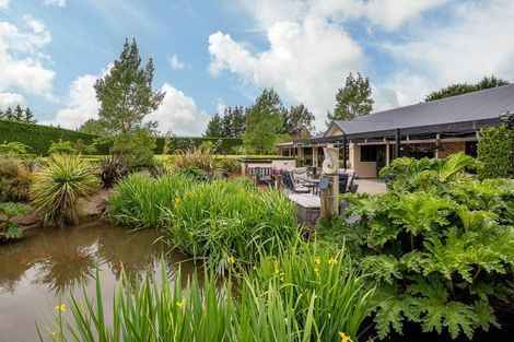 Photo of property in 41 Bridge Road, Greendale, Christchurch, 7671