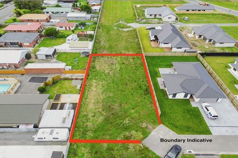 Photo of property in 8 Mirren Lane, Tinwald, 7774