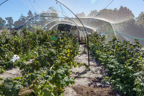 Photo of property in 7 Opuha Street East, Orari, Geraldine, 7992