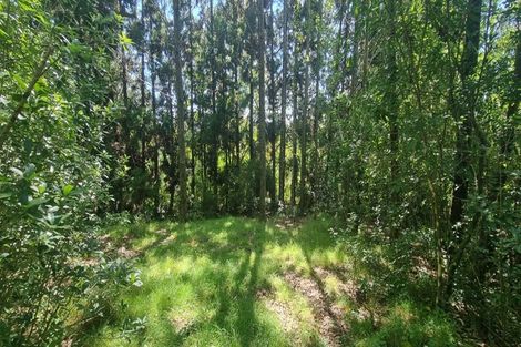 Photo of property in 143 Wallace Loop Road, Koputaroa, Shannon, 5571