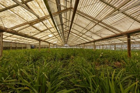 Photo of property in 123 Jesmond Road, Karaka, Drury, 2578