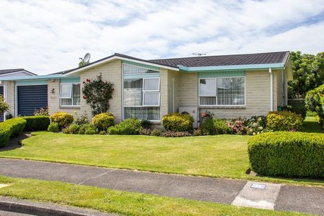 Photo of property in 6 Takahe Street, Masterton, 5810